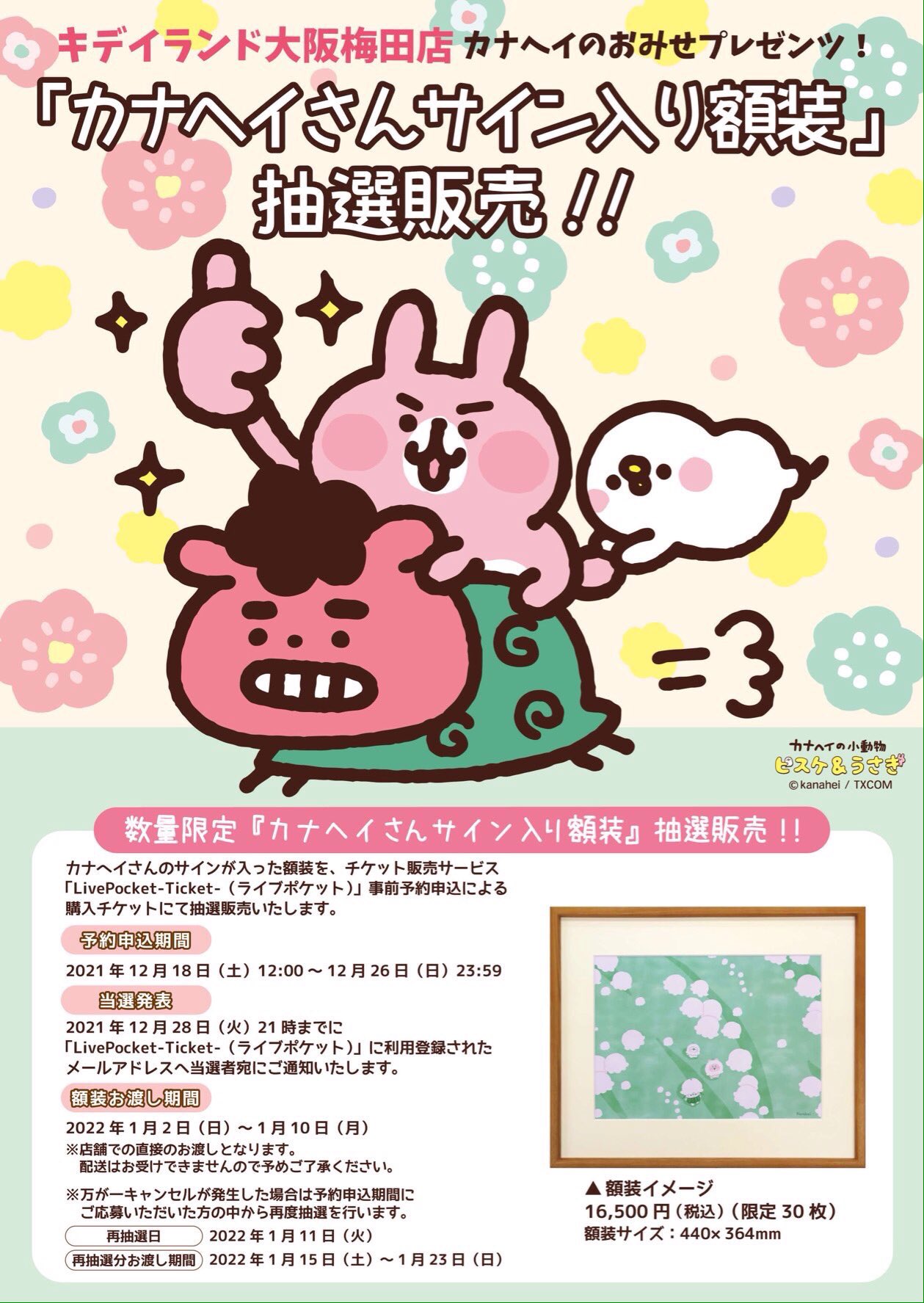 カナヘイの小動物 情報局 Kanahei Animals Twitter