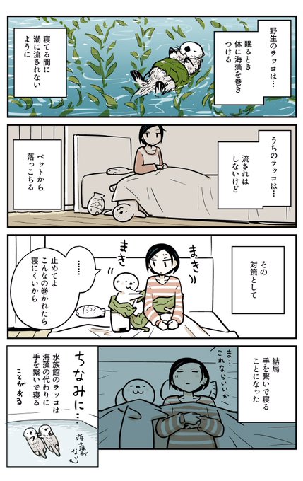 井上知之 ラッコ 1 2巻発売中 Motomototomoto さんのマンガ一覧 リツイート順 4ページ ツイコミ 仮