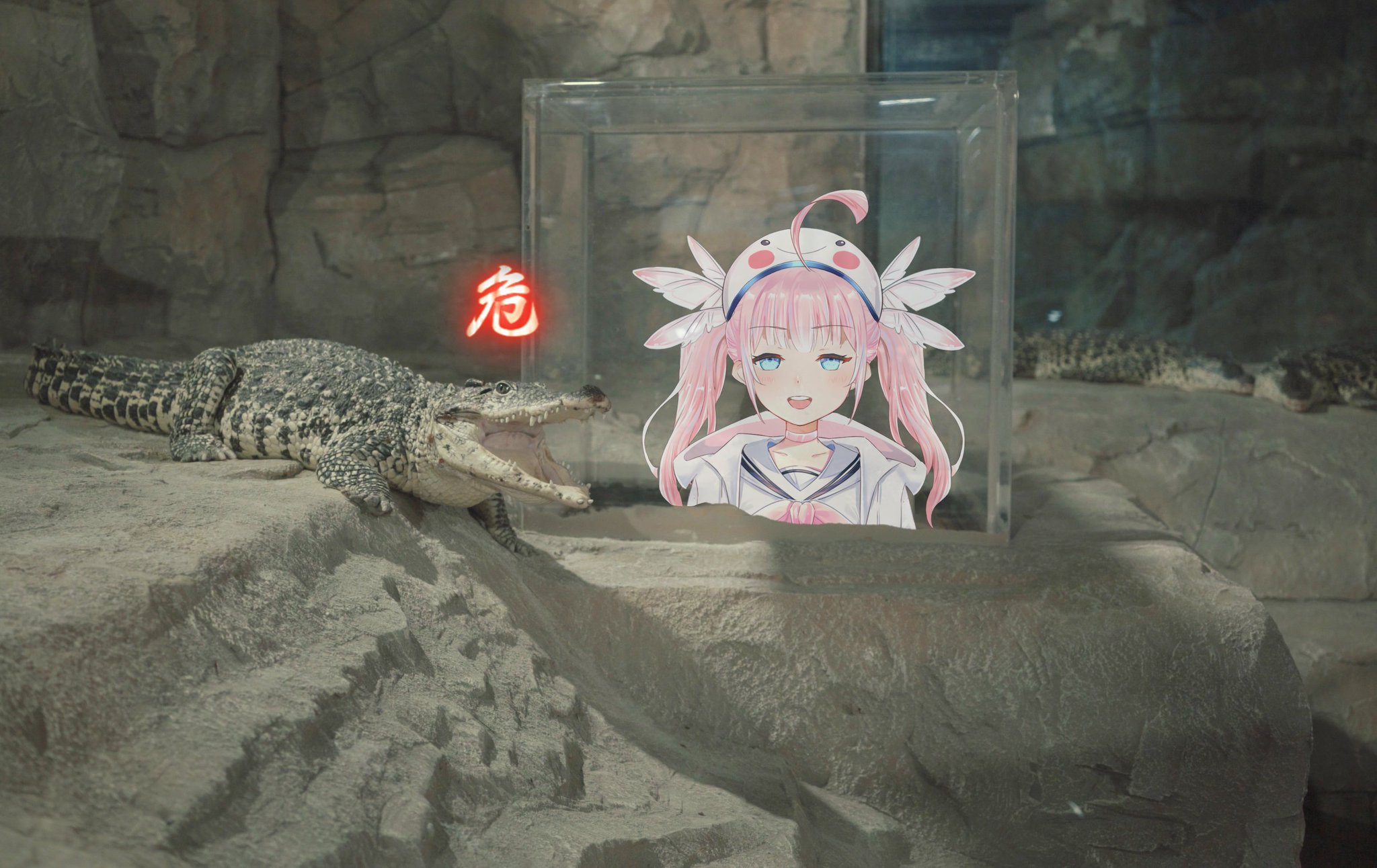 [情報] 浪海數位 香草奈若12/20一週年吃播準備中