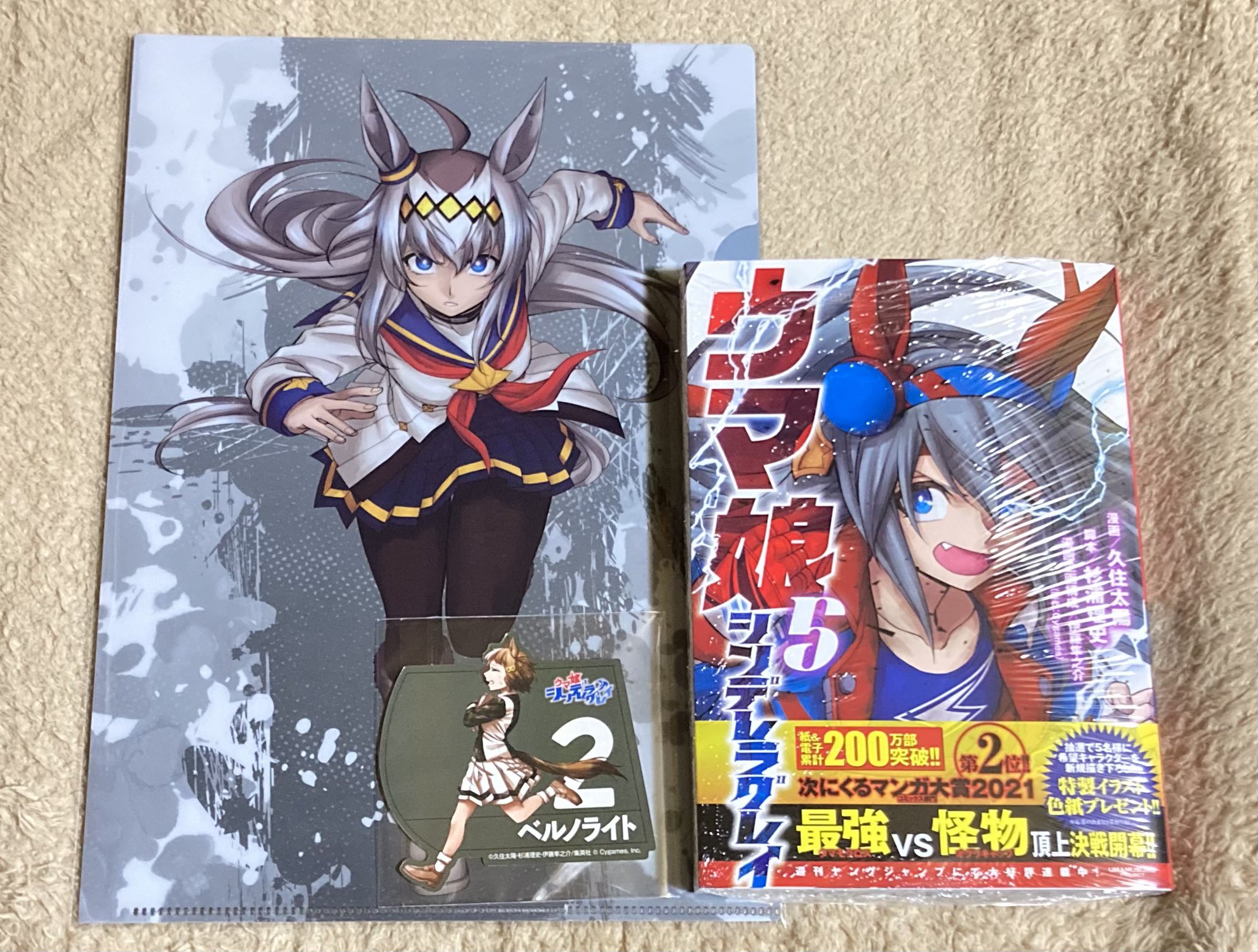 ☆ ウマ娘 シンデレラグレイ タマモクロス 5巻表紙 特製ポスター ☆