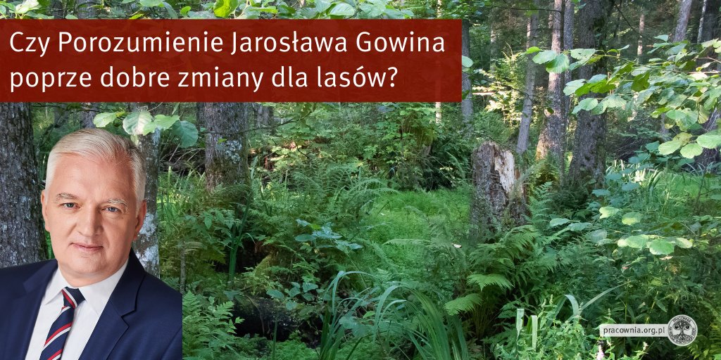 PracowniaBystra's tweet photo. Czy @Jaroslaw_Gowin i @Porozumienie__ przyjmą dobre poprawki Senatu w Ust. o lasach? Mamy dość niszczenia ojczystej przyrody i łamania prawa UE przez złe zarządzanie lasami. Oczekujemy przywrócenia ścisłej ochrony gat. w lasach i wzmocnienia katalogu dobrych praktyk w leśnictwie. https://t.co/W9NlMHEbiq