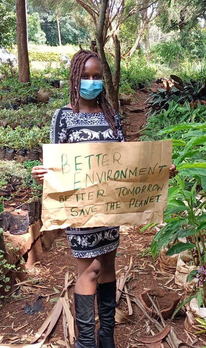 Green change tweet media