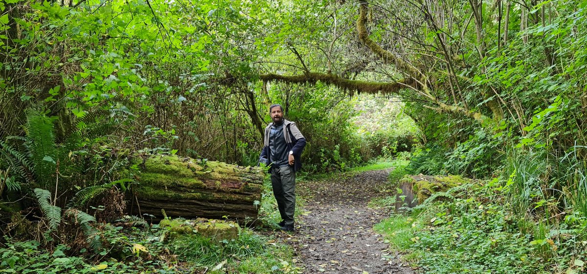 فهد عامر الأحمدي tweet media