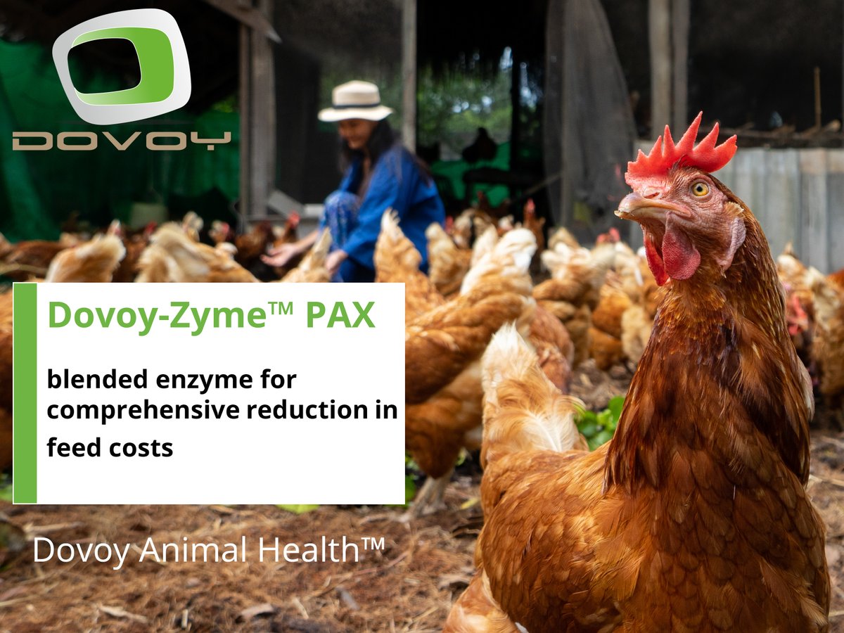 dovoyinc's tweet photo. Synergistic blend of enzymes enhancing the feeds performance.
#Dovoy-Zyme PAX
#DovoyAnimalHealth
#Enzymes https://t.co/ZuFlyW2ltZ