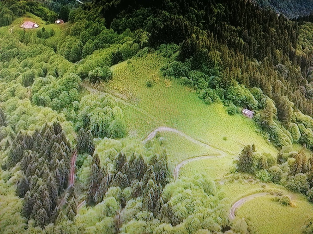 UGopso's tweet photo. Trabzon ili  Çaykara ilçesi Ataköy mahallesi Gopso mevkii https://t.co/vttEZdoMRx