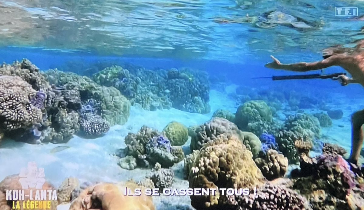 Fin du dernier cours avant les vacances, quand le professeur termine mais n'a même pas le temps de souhaiter de bonnes fêtes de fin d'année : 

(PS bonnes vacances à toutes et à tous😘)