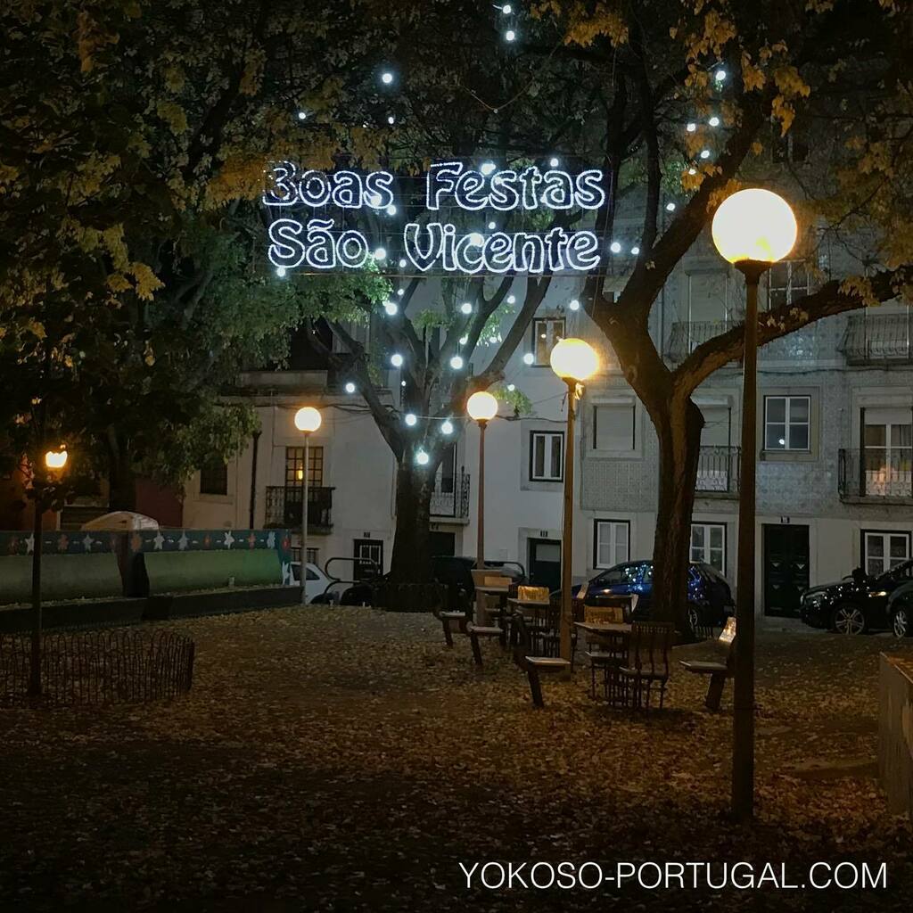 test ツイッターメディア - アルファマ地区の公園のイルミネーション。雰囲気がしっとりと良いです。 #リスボン #ポルトガル #ヨーロッパ #クリスマスイルミネーション https://t.co/xXeN7A8vbu