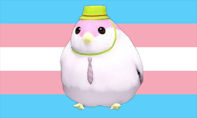 GoodGamerTakes's tweet photo. Here you go, the first and only GGNFT (Good Gamer Nice Fuckin' Token). I implore you to screenshot this and share it. If you have a dire compulsion to spend money, please donate to a trans charity in your region. https://t.co/X2CCobIjUb