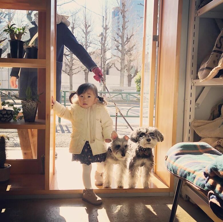 耳でペシペシ 泣いている赤ちゃんを耳だけで器用にあやす犬が話題 関係性を飼い主に聞いた Twitter