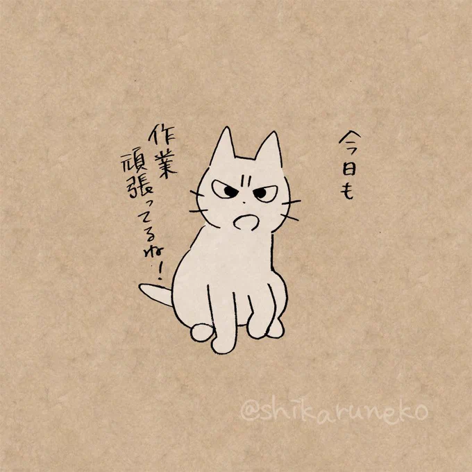 寒さに耐えながら作業を続ける人を叱ってくれる猫 