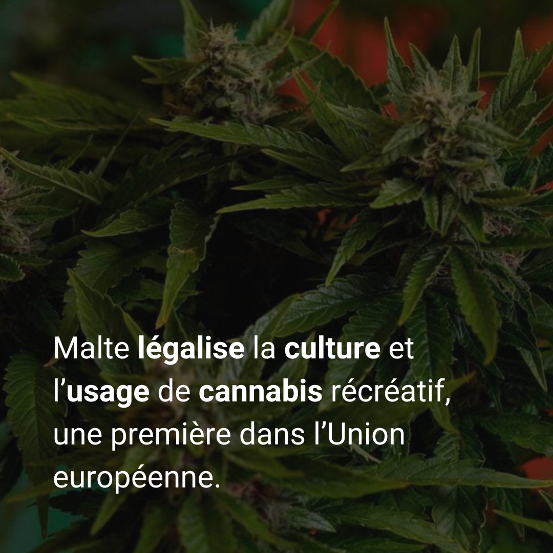 Vérifié
Les infos de la semaine ! ℹ

Retrouvez tous nos articles gratuitement (pour les 18-25 ! 🙃) grâce à notre offre Sur Le Vif ! 

#coldcase #pèrenoël #canabis #surlevif