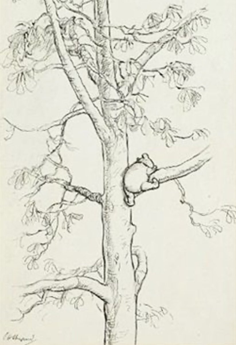 Pooh_2022's tweet photo. It wasn’t easy getting a good WiFi signal in the Hundred Acre Wood https://t.co/TZKF6yJCg7