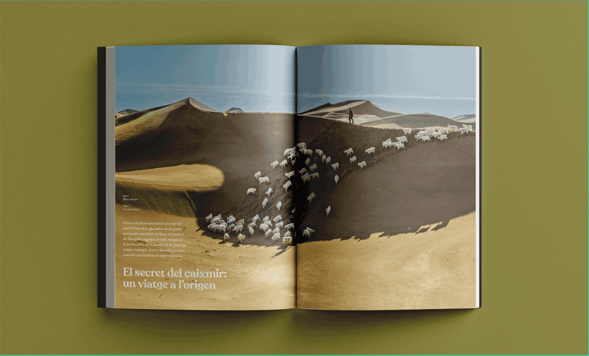 🤔Sabeu d’on ve la llana més icònica i ben pagada del món? Al nou número d’Arrels recorrem el paisatge remot i inhòspit de Mongòlia per descobrir d’on ve el caixmir. Aquest hivern, tornem a la llana.

✍🏻<a href="/marcobozzer/">Marco Bozzer</a>
📷<a href="/giuliodisturco/">Giulio Di Sturco</a>

arrels.info/noticia/aquest…