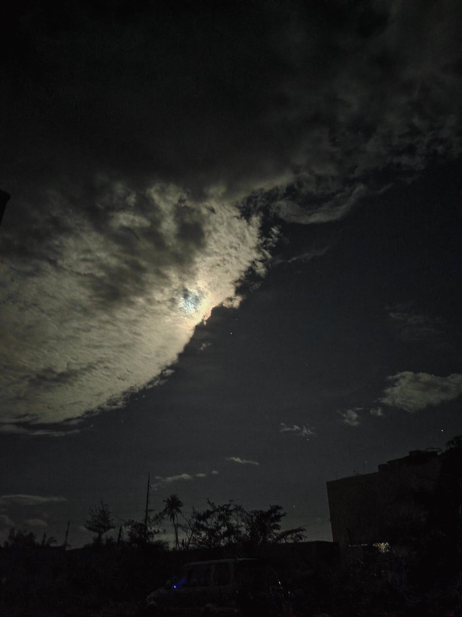 Ritchel | xyZ tweet media