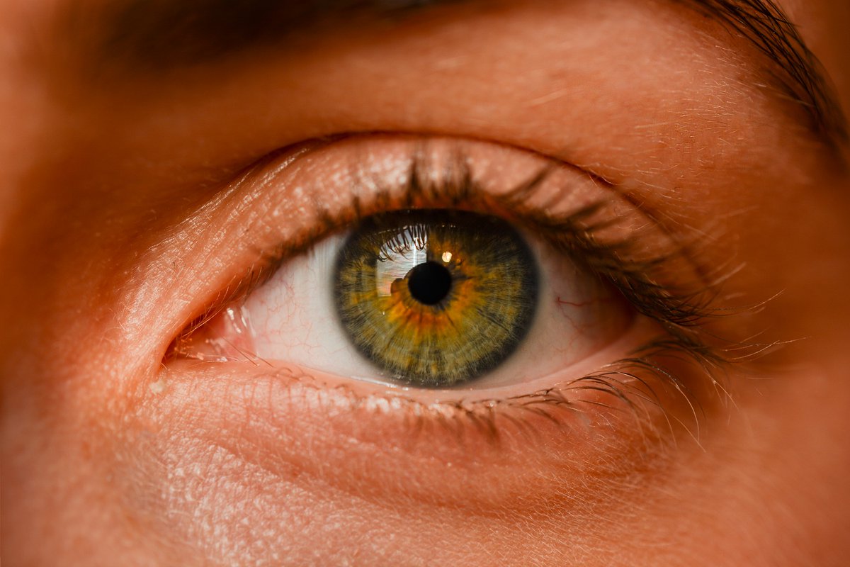 funsavi's tweet photo. 👁 El uso de lentes de contacto debe ir acompañado de buenas prácticas para que nuestra salud visual no se vea resentida. Para ello, desde @funsavi te ofrecemos estos consejos. 👇

📲 Post completo 👉 https://t.co/nwmiTpzMQp

#SaludVisual #Visión https://t.co/oSyVfhD60S