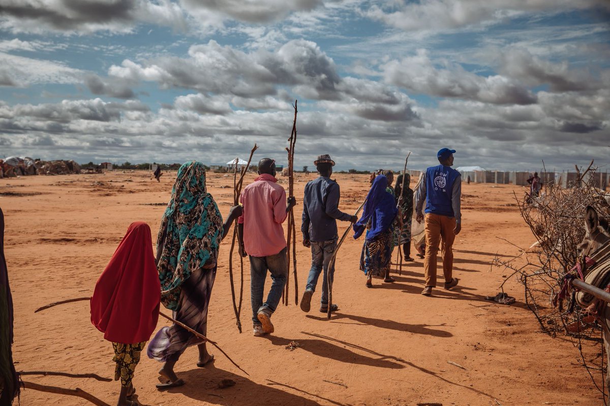 IOM Somalia tweet media