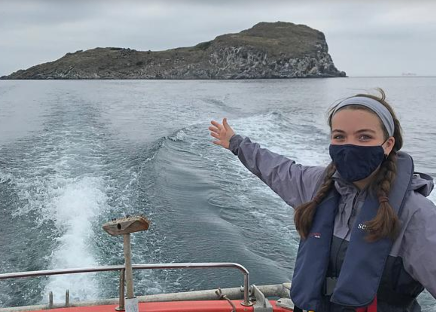 Helenecologist's tweet photo. Some great results coming out from Lily's project on the tree mallow seedbank on Craigleith - watch this space for more updates early next year! @UoABioSci @biologicalily @ecologylou @SeabirdCentre https://t.co/KwYpzFaahS