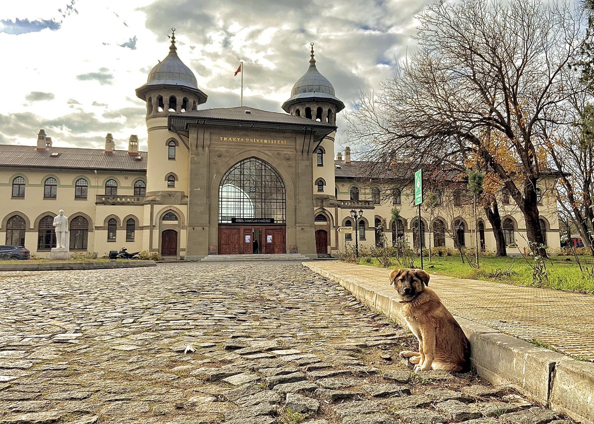 trakya_univ's tweet photo. Minik dostlarımıza bu soğuk havalarda sahip çıkalım 🐕🐈 https://t.co/uldHcLaQhe