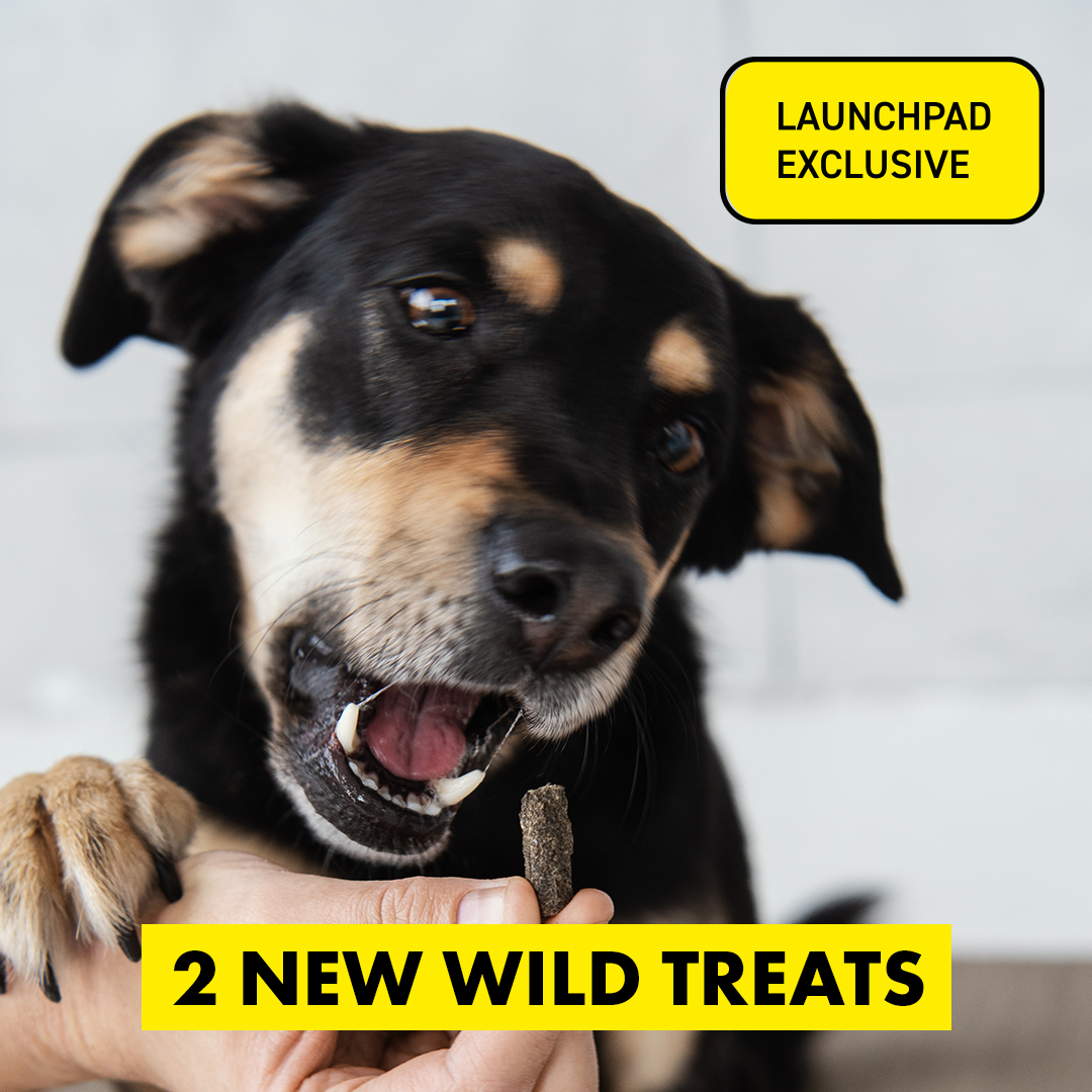 Introducing our 100% Wild Herring + Sprat Treats - two new LAUNCHPAD limited editions. 🐟

Learn more here →  gorocketo.com/exclusive-prod… 

#rawdoguk #rawdogfood #organicdogtreats