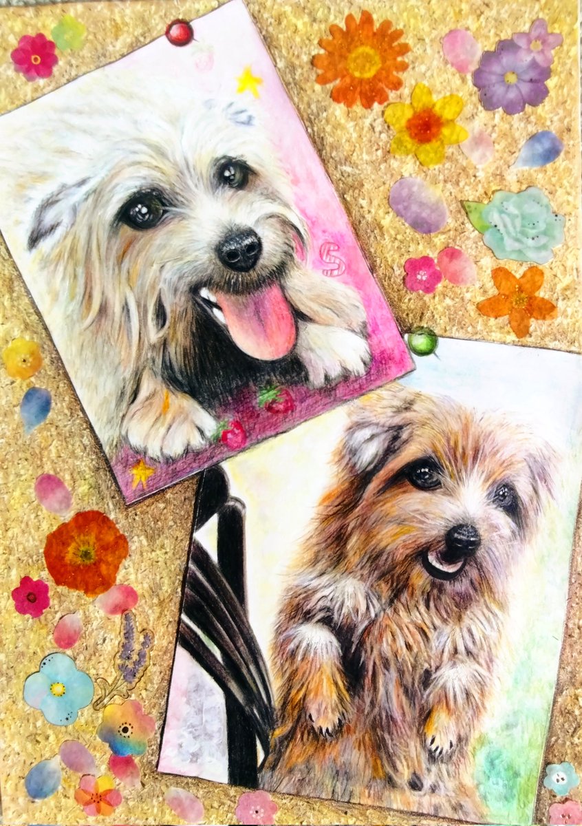 Twoucan コルクボード の注目ツイート イラスト マンガ コスプレ モデル Twoucan コルクボード の注目ツイート イラスト マンガ コスプレ モデル