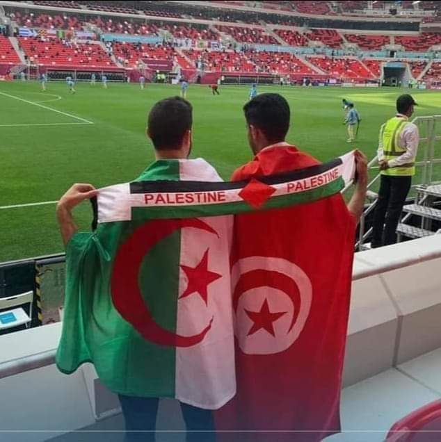 بصح اسمحولنا .. الفوز جزائري وتكتمل فرحة كأس امم افريقيا 🇩🇿💚