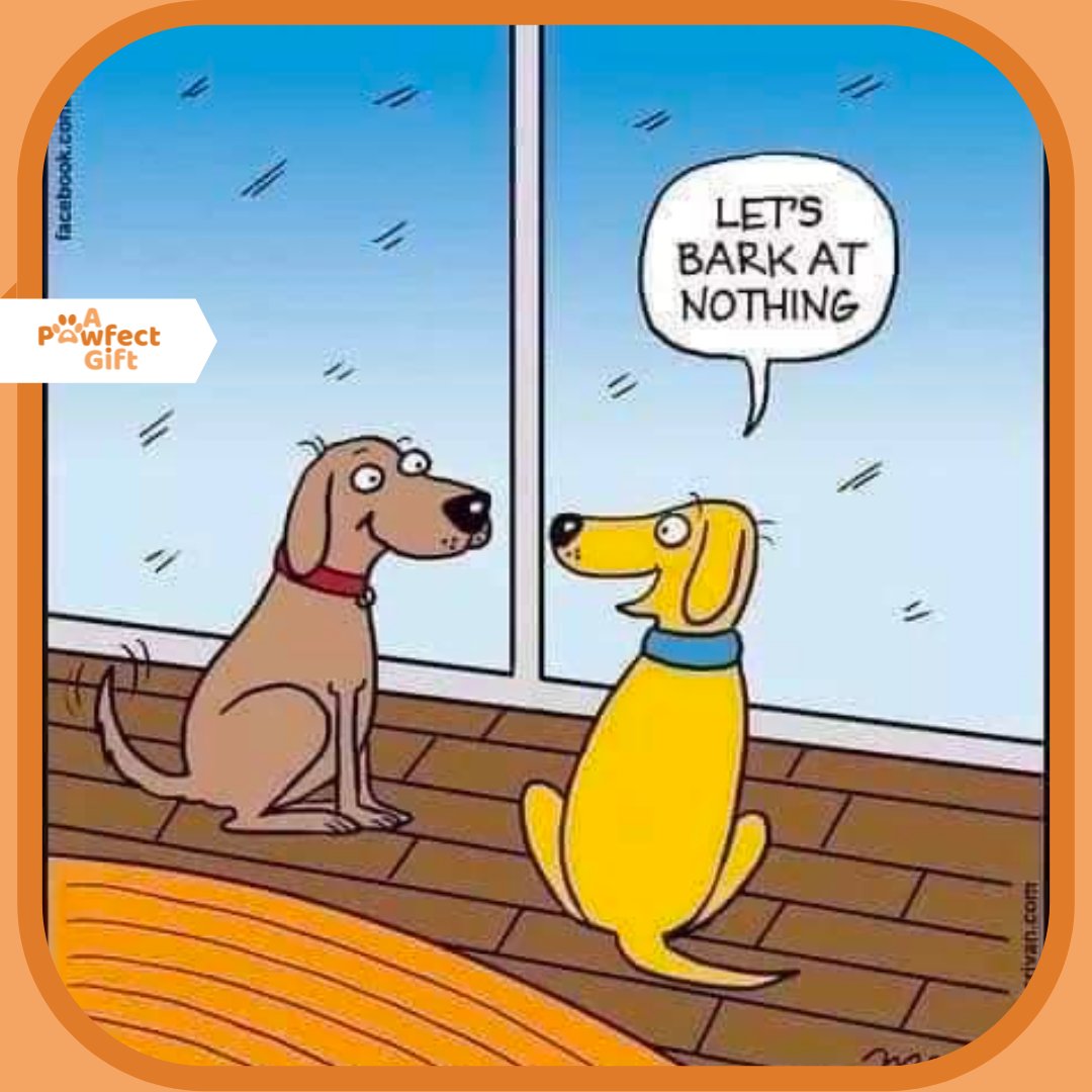 apawfectgift's tweet photo. Every. Damn. Day. 🤣

#puppymeme #dogmemes #doggomemes #dogmemesofinstagram #puppymemes #dogmemesdaily #dogsmemes #dogmemesofinsta #thoughtsofdog #doghumor #funnydog #puppy #dogs #dogstagram #instadog #pup #doglover #dogoftheday #pets #christmasmeme #xmas #christmasdog https://t.co/Pw0iHXuQvr