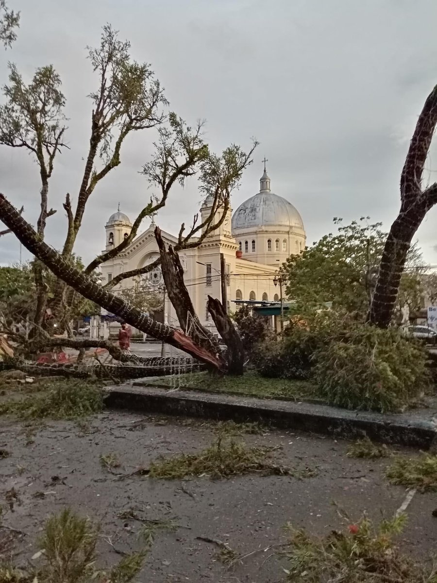 sechandilf's tweet photo. Its almost 24h since the electricity went out :(( the typhoon really left us damaged as h3ll. Most of the utility posts were down and trees that’s even wayyyyyy more older than me didn’t survive https://t.co/l97HeQtolM