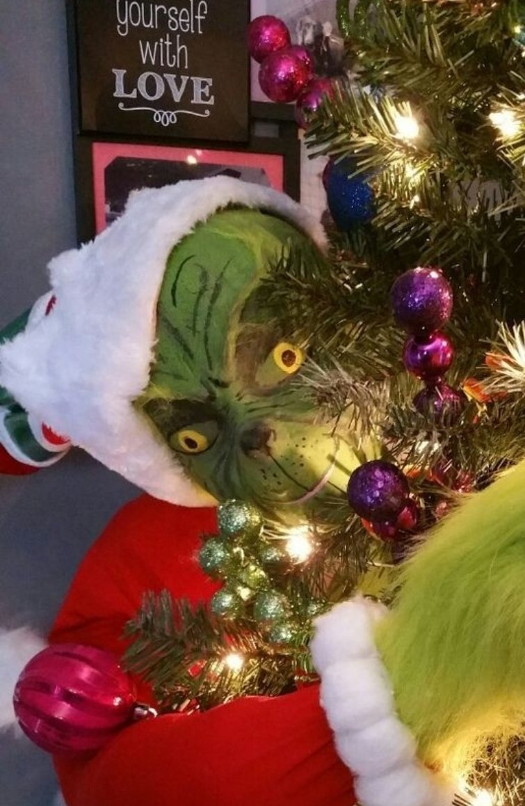 YJLFD_'s tweet photo. jigglyjelly - has posted.
J'crois que j'me suis trompée de saison. Y'a une c- dans le pâté. Le Grinch a foiré.
#FDChristmasTree https://t.co/XafpzDeQjA
