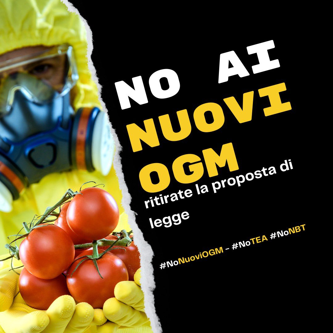 👉🏻Oggi in 24 organizzazioni contadine, ambientaliste, dell'agricoltura biologica e del mondo sindacale chiediamo al Movimento 5 Stelle di ritirare la proposta di legge che accelera la sperimentazione in pieno campo dei #NuoviOGM #NoOgm #OGM #NoTeaNoParty