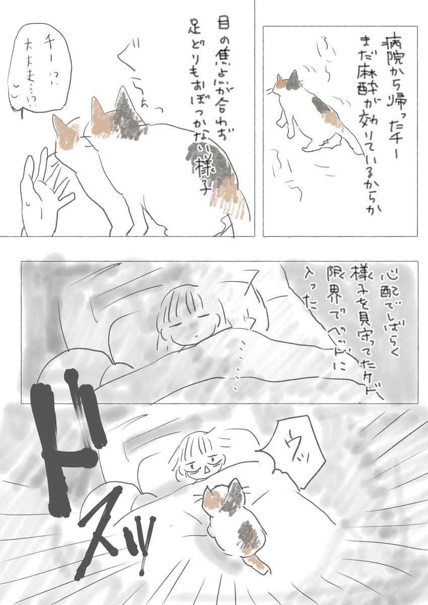 #絵日記 
