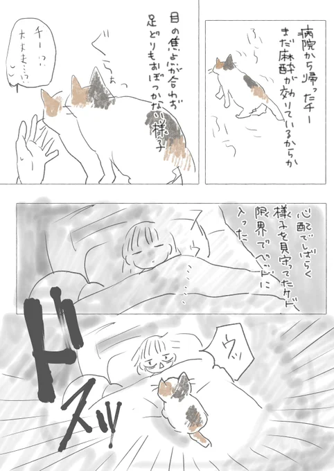 #絵日記 