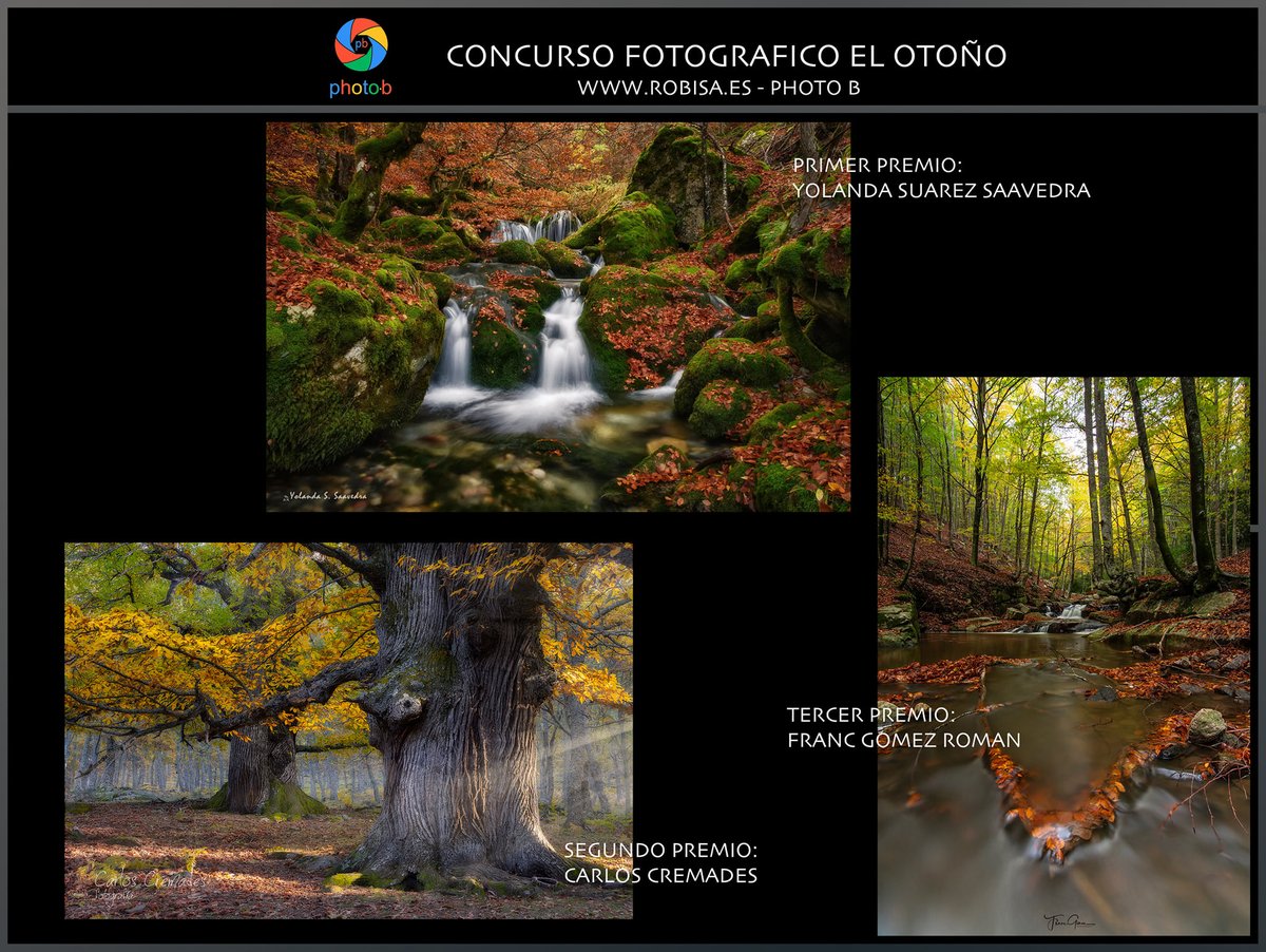 ROBISA's tweet photo. 🍂GANADORES CONCURSO  #PhotoB 'EL OTOÑO 2021'🍂
1º: "Argovejo" de Yolanda Suarez Saavedra 
2º:  "Cas-Años" de Carlos Cremades 
3º: "Montseny Otoñal" de Franc Gomez Roman 

#photob #samyang #feelworld #litufoto https://t.co/lp6lAH8tbs
