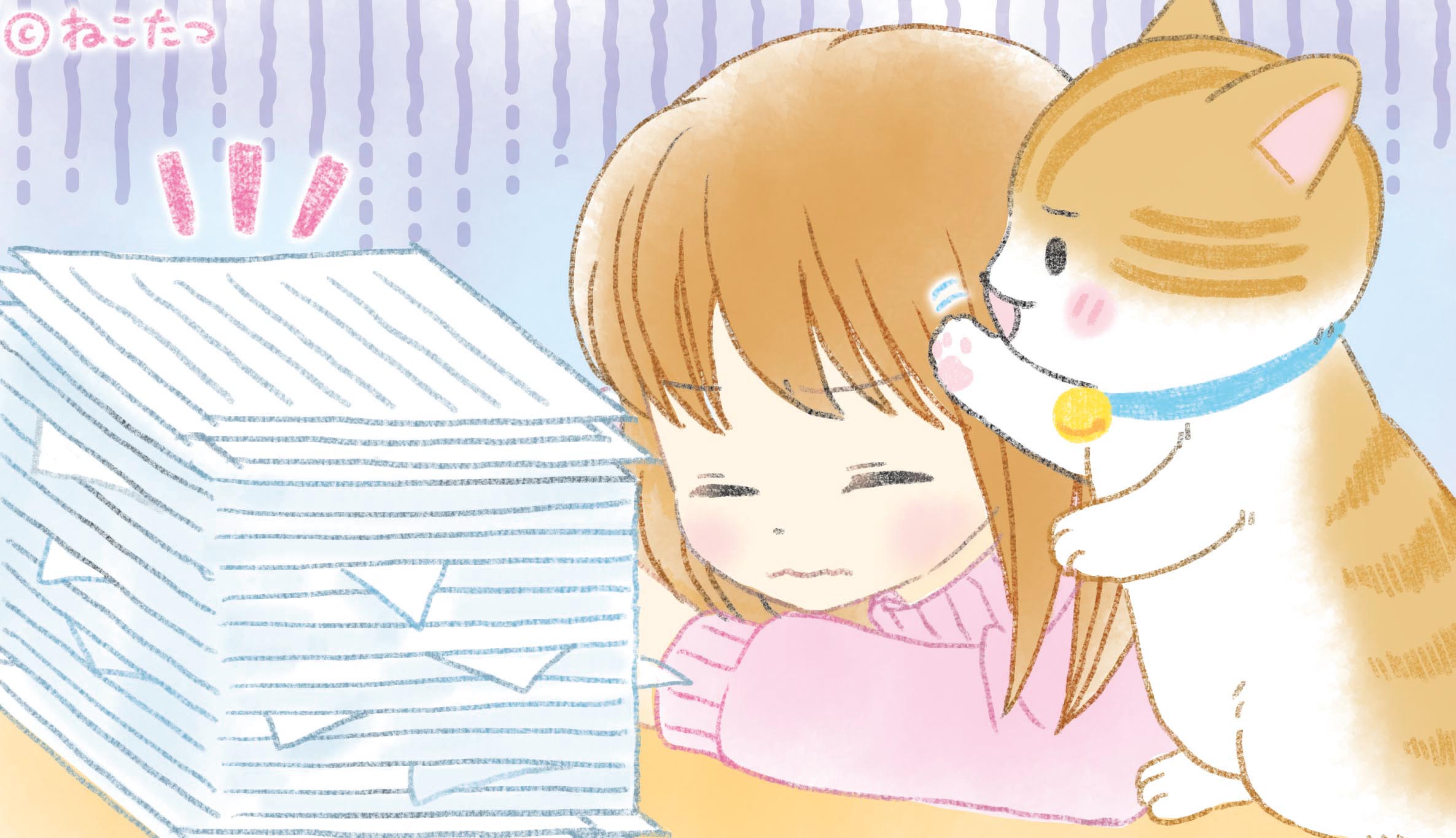 猫キャラクター Twitter Search Twitter