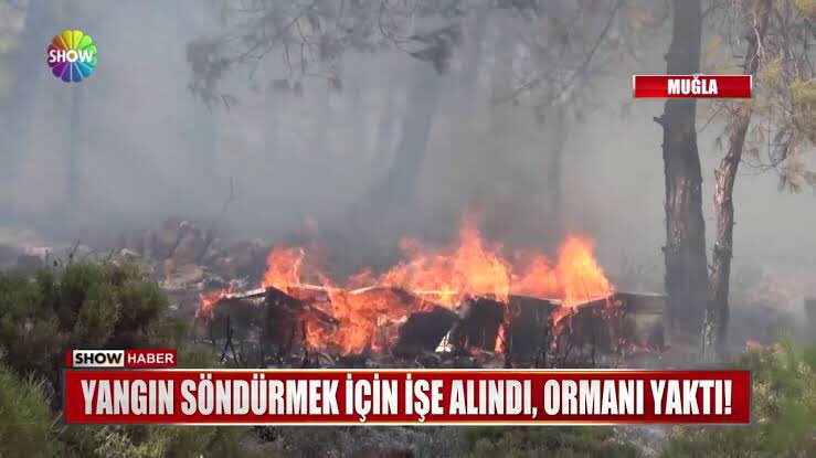 Merkez Bankası dolara müdahale ediyor