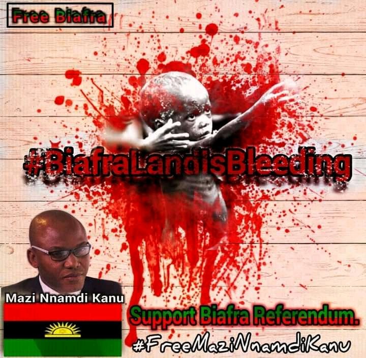 GospelofBiafra's tweet photo. Shame on you all, one #Nigerianist!
In #TheZooCalledNigeria, #Fulanis are above the law & are your #SlaveHunters - hunting on behalf of #British #SlaveMasters - the real owners of the #SlaveTrade organization!
#Nigeria is not a Nation, but a #slaveyard, controlled by Foreigners! https://t.co/lNIk6YT3i7