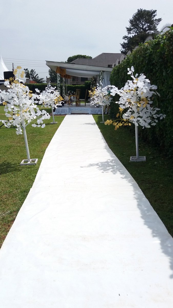 DavidSypha's tweet image. 