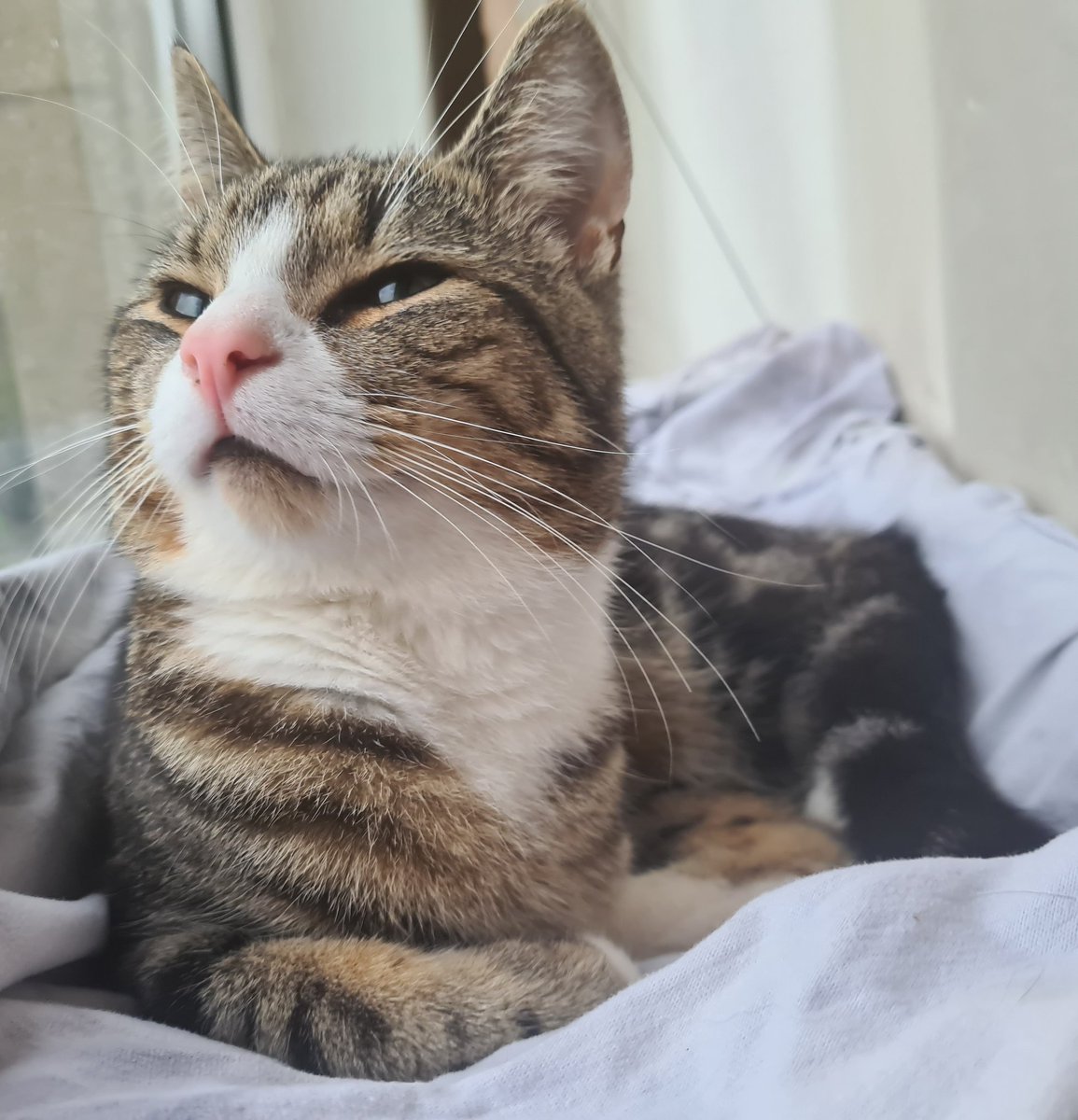 Winksy with the 3 legs 🌍 tweet media