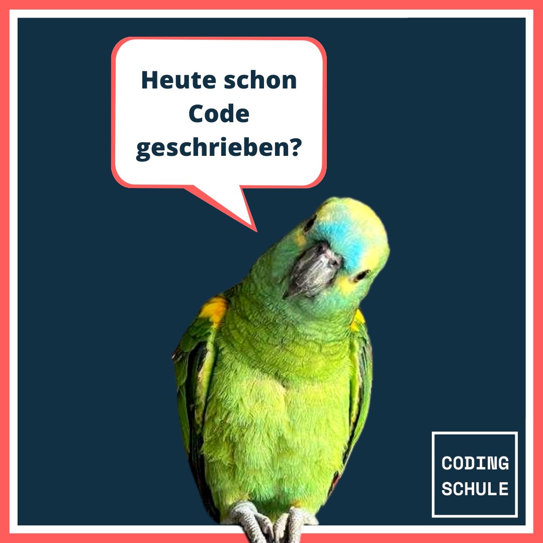 Codingschule's tweet photo. Sonst aber mal schnell ran an die Tasten! 💻
#codingschule #papagei #coding https://t.co/fvLL2qCft4