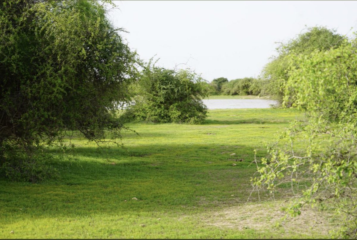 حمد بن جابر آل عذبة tweet media