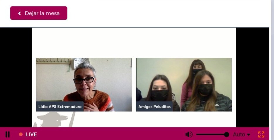 ApS Madrid tweet media