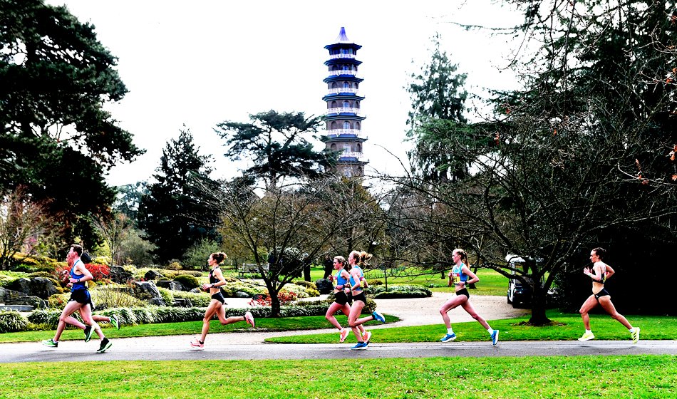 Mark Shearman MBE (@athleticsimages) on Twitter photo #flashbackFriday runners pass in front of the Japanese
Garden with the Giant Pagoda in the distance during the
<a href="/BritAthletics/">British Athletics</a> Olympic Games' marathon trials in the grounds of Kew Gardens last March <a href="/AthleticsWeekly/">AW</a> <a href="/RichmondRunFest/">Richmond RUN-FEST</a> <a href="/kewgardens/">KewGardens</a> 📷MarkShearman #flashbackFriday runners pass in front of the Japanese
Garden with the Giant Pagoda in the distance during the
<a href="/BritAthletics/">British Athletics</a> Olympic Games' marathon trials in the grounds of Kew Gardens last March <a href="/AthleticsWeekly/">AW</a> <a href="/RichmondRunFest/">Richmond RUN-FEST</a> <a href="/kewgardens/">KewGardens</a> 📷MarkShearman