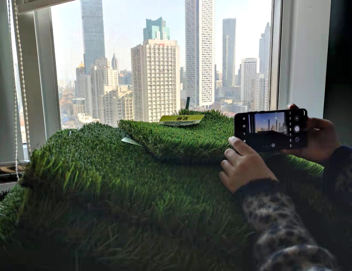 CCGrassUSA's tweet photo. When my colleague said she was taking pictures of samples……Actually she enjoys the cityscape from CCG office🏙️
#ccgrass #artificialturf #artificialgrass #turfsupplier https://t.co/kEM3nivzZ7
