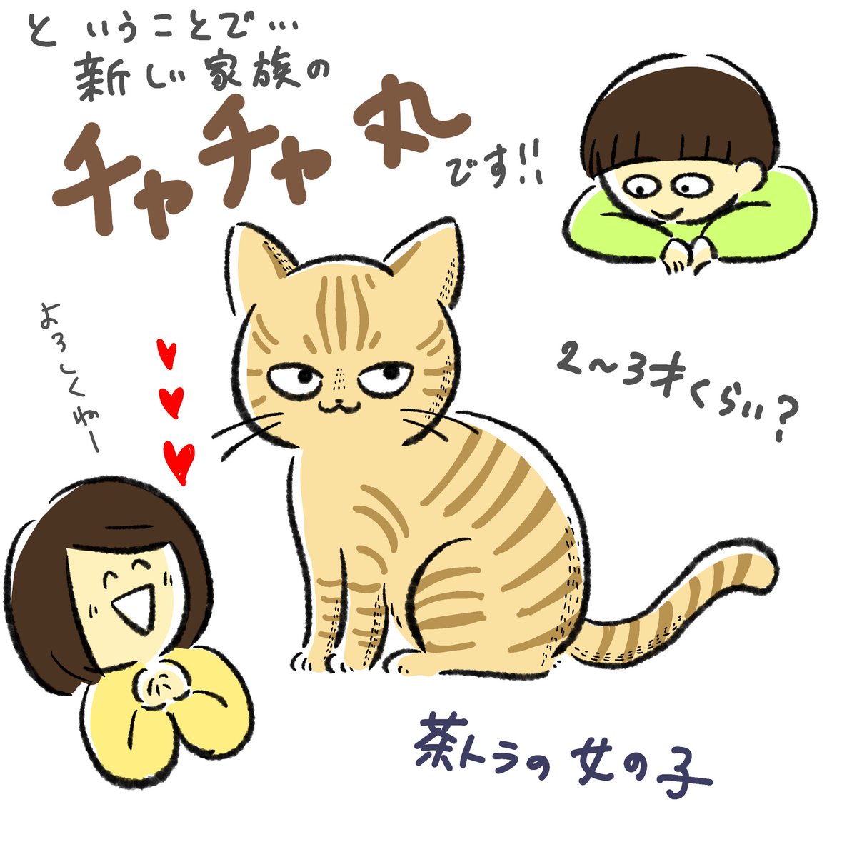 ご報告です………
家族が…増えました…
山もオチもない説明漫画まで描いてしまった
にゃーーーーーん!!!!!
軽率に猫の写真あげていくアカウントになるかもね!!!! 