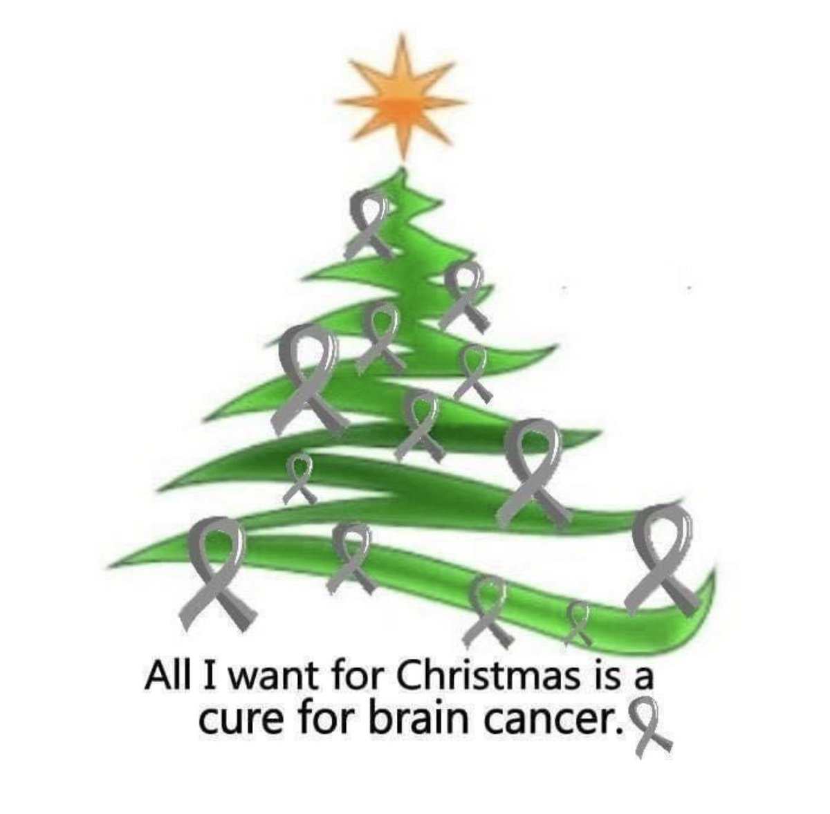 Bakhos A. Tannous, PhD (@tannouslab) on Twitter photo 