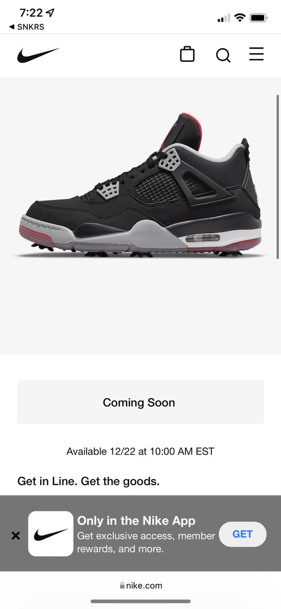 pre order bred 4
