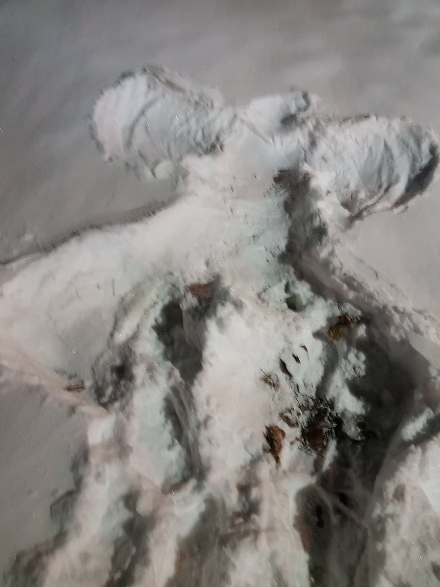 PinnacleHomeDes's tweet photo. New Years Eve Snow Angel!
#kindadrunk
#HappyNewYear2022CAN https://t.co/PwnYFDnuih