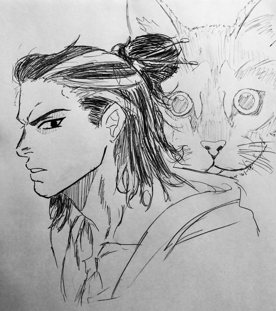🐅🐅🐅🐈 