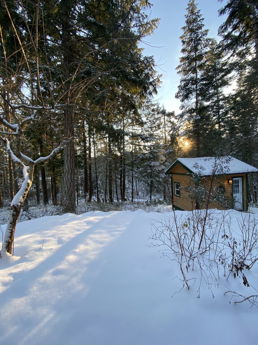 DianaSaltSpring's tweet image. Sun going down early on New Year’s Eve. Powder snow on the west coast is a treat.