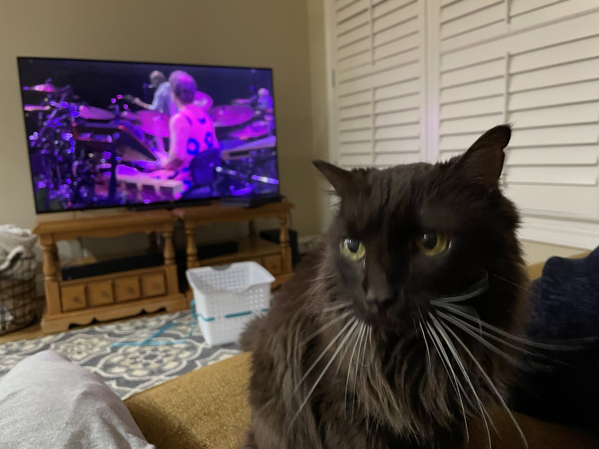 be_jonze's tweet photo. Caspian knows what song he wants to hear. #phish #ninthcube https://t.co/6MjdhjJ178