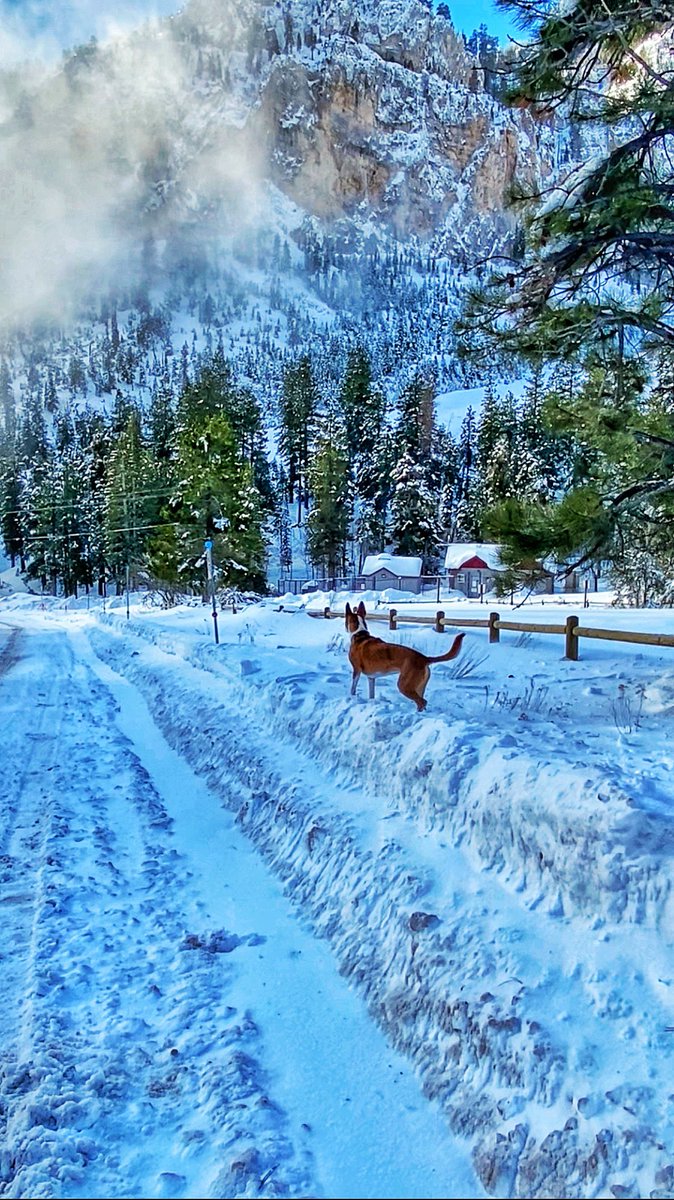 jessawest's tweet photo. @TrevDon This was our view this morning! https://t.co/DZMPqrnGis